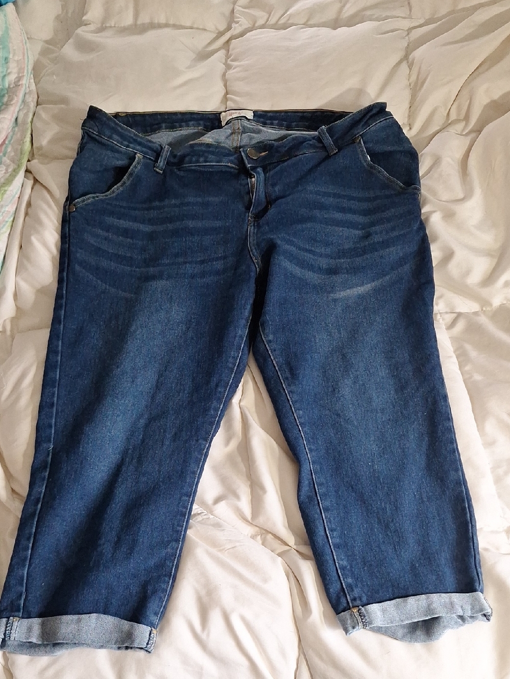 1826 Size 20 Dark Blue Capris